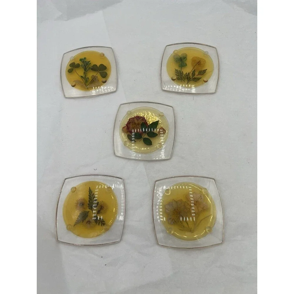 VTG Lucite Acrylic Coasters Set of 5 Dried Pressed Flowers Resin Footed MCM